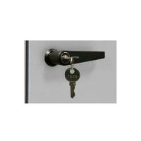 Handle with cylinder lock